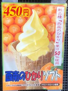 みかん問屋（有）石澤商店　みかんソフトクリーム